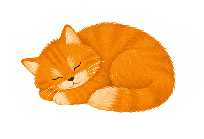 Кот — главный по уюту